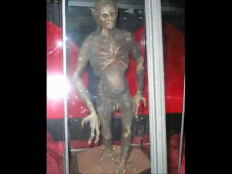 VIDEO DE BRUJERIA video de brujeria: