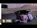 After Midnight (5/10) Movie CLIP - Wild Dog Attack (1989) HD