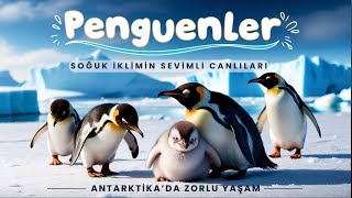 Penguen Belgeseli Sıradışı Türleri, Yaşamları Ve Hayatta Kalma Stratejileri