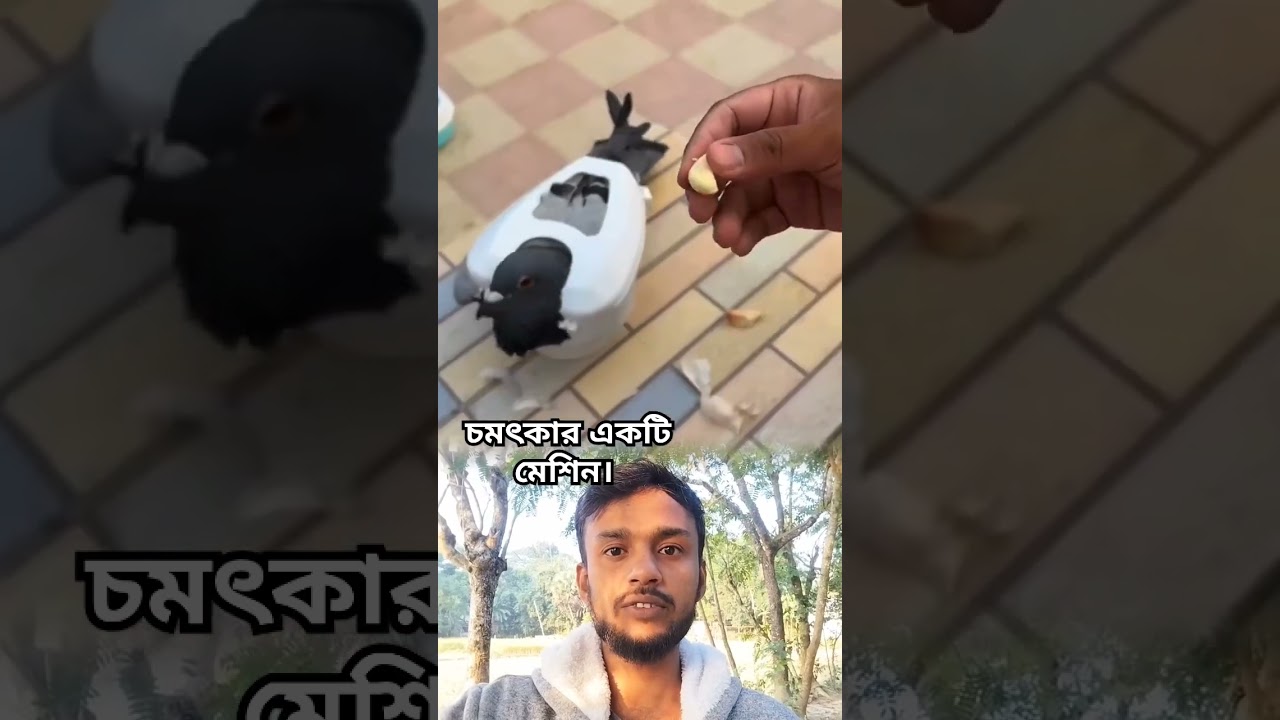 অসাধারণ একটি যন্ত্র। #youtube #viralshort #newshorts অসাধারণ একটি যন্ত্র। #youtube #viralshort #newshorts