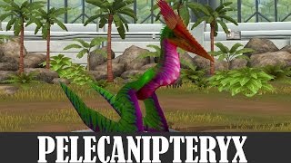 Pelecanipteryx Max Level 40 - Juric World The Game