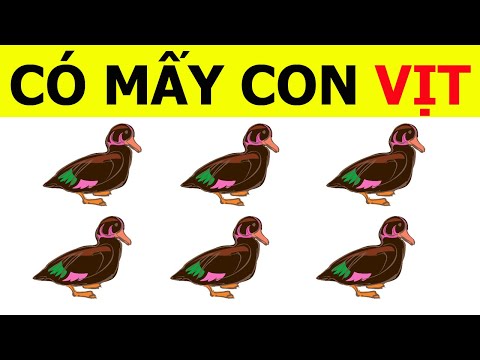 10 câu đố vui thử tài tinh mắt