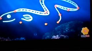 Scuba Dots Eel