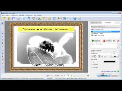 Как сделать фотки черно-белыми 543