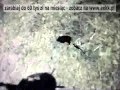 Świetny popis myśliwego strzelającego do Dzików z Helikoptera.