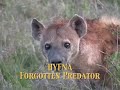 HYENA- Forgotten Predator