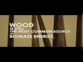 Renewable Energy