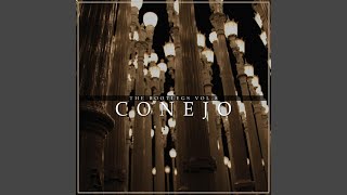 Watch Conejo Partner In Crime video