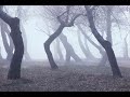 Borknagar ---- The Winterway