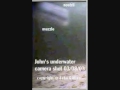 Nessie