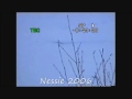 Nessie