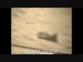 Nessie