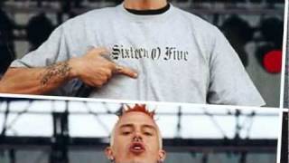 Watch Kottonmouth Kings Irie Feelin video