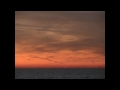 LAKE ERIE UFO's! - FULL VERSION! (HD) 11-11-2010 - Chariots Of Fire!