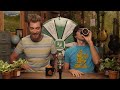 Link's Relationship With Plants