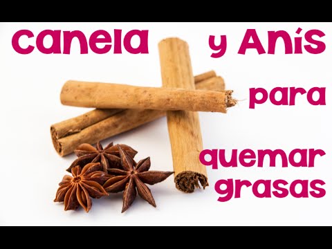 El Anis Para Que Sirve El Anis Para Que Sirve