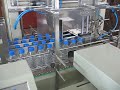 Automatic Wrap Shrinking Packaging Machine.avi