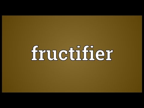 Header of fructifier