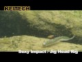 Sexy Impact / Jig Head