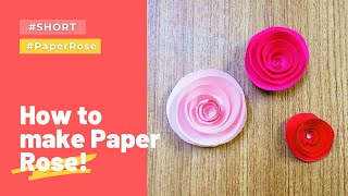 Paper Rose Flower DIY - Very Easy #Shorts