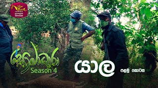 Sobadhara - Sri Lanka Wildlife Documentary | 2020-05-29 | Yala