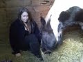 My horse khai xxx