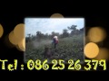 สารปรับสภาพดินตราดวงแก้วลาว