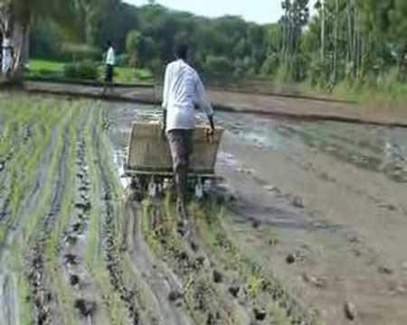 Rice Transplanter 3