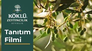 Ayvalık Köklü Zeytincilik - Tanıtım Filmi