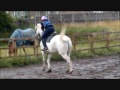 beth and cat film xxx