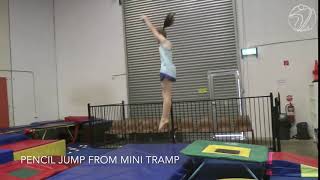 Pencil Jump Run up (Testing skill)