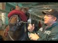 Tips of the Trade - Fitting the Shadow Roll --USTA harness racing Hoof Beats