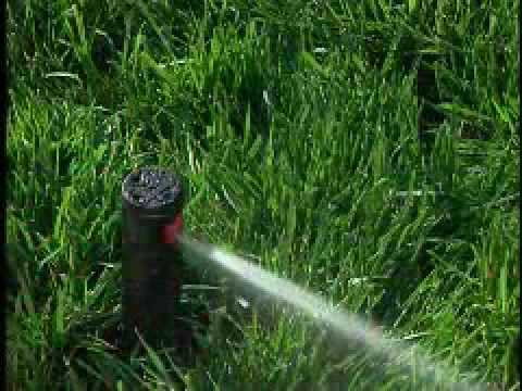 Adjusting: Adjusting Orbit Professional Sprinkler Heads