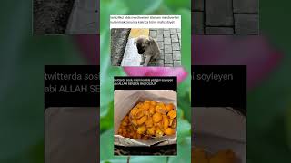 Çok Mahçup Oluruz Siz Hiç Mahçup Oldunuzmu?