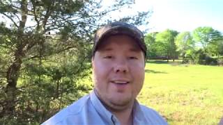 Evolve Harvest Spring Time Food Plot 1 Week Update