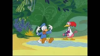 Donald Duck - I Give Up Cries Read Description