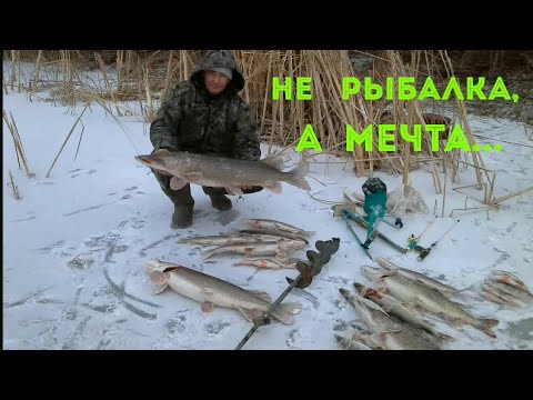 видео ловля щуки на жерлицы по перволедью видео видео ловля щуки на жерлицы по перволедью видео
