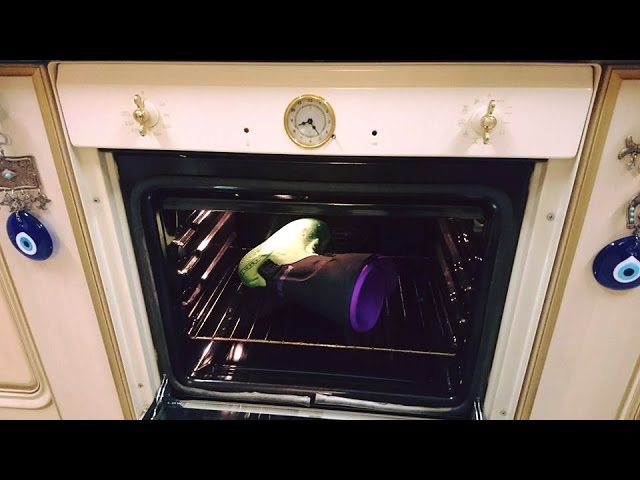Манты, рецепты с фото на m: 86 Лес к чему снится во сне? Если видишь во сне Лес, что