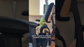The Best Office Chair For Posture