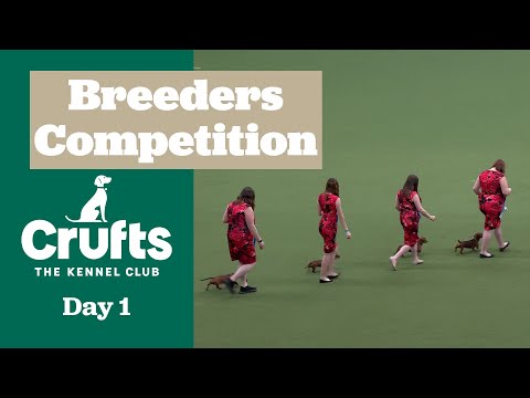 Breeders Competition Final | ​Crufts 2025