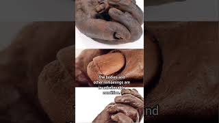 The Tollund Man