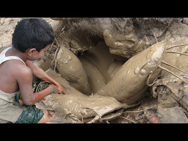 Play this video Big Catfish Hunting By Deep Hole ll Amazing Fishing in the Natural Beautiful Field