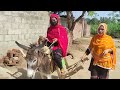 Sister ko gadhe ki sawari sikha di | Donkey Rider lady