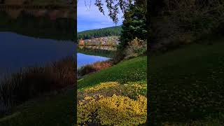 Ilahi Hasan Dursun - Sakın Güvenme Varına
