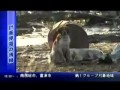 2011年3月17日(木) フジテレビ 津波犬 誤報道 0001