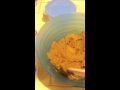 Emily Reynold's healthy homemade dog food