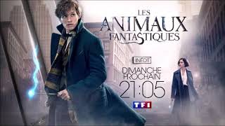 Les Animaux Fantastiques Le Nouveau Stagiaire - Ba 1 Coming Next Tf1