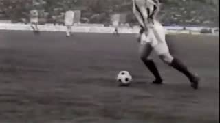 mlEli9tVh9g Video Image