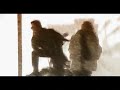 Loquillo & Los Trogloditas - El Rompeolas (Rocktown edit)