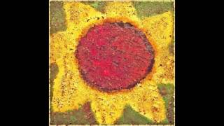 Watch Never Shout Never Sunflower video